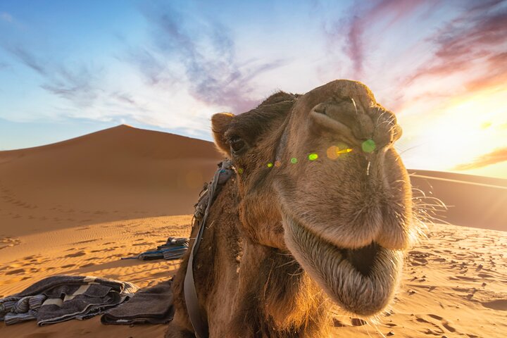 4 Day Desert Tour from Marrakech to Fes through Palacio Sidi Hamza
